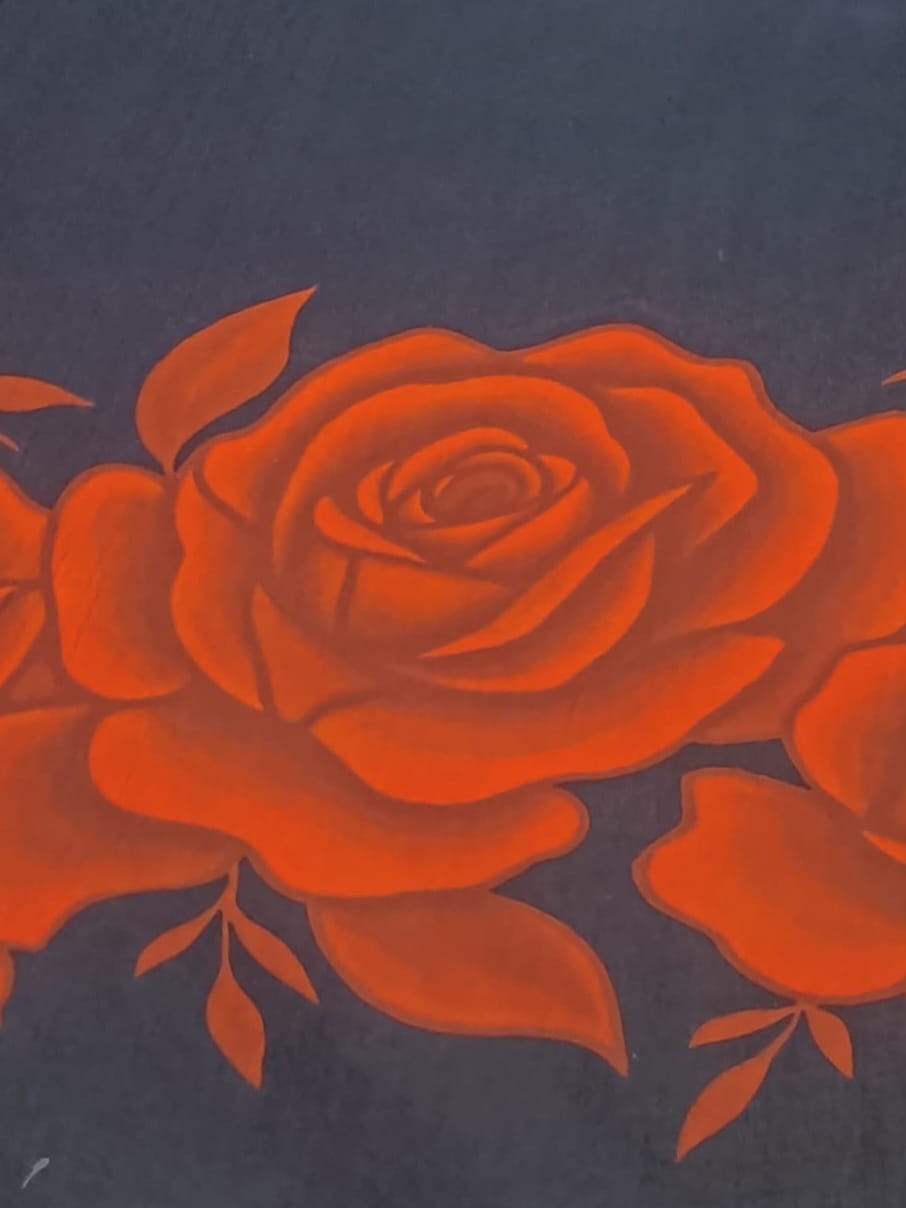 Rohini sleeved Kurti